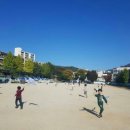 용인대 금곡 태권도 이미지