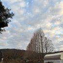 [Camping] 히든캠프 캠핑장 블루존5번 후기