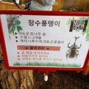 여주-1014 이미지