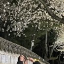 경주옥 이미지