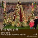 건넌곡 | 2025 관악별빛산책 위치 실제 방문 후기 가볍게 산책하러 오세요(25/12/19)