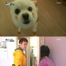 전원떡방앗간 이미지