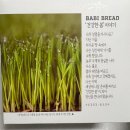 바비브레드 | 마켓컬리 바비브레드 건강한 쌀식빵 후기/위염 간식/저온숙성탕종/국내산쌀