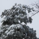 용천약수 이미지