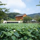 신성건축사사무소 이미지