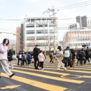 연포초등학교 이미지