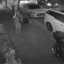 새마을금고 뒤 주차장 이미지