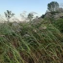 여주경기공인중개사사무소 이미지