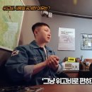 잡식