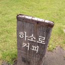 카카오 이미지