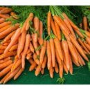 백천헬스 이미지