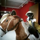 퍼피엔젤 이미지