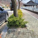 남파로 이미지