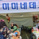 가람솜사탕 이미지