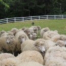 남해-179 이미지