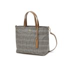 브라운퍼피 이미지