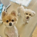 사랑가득케어 이미지