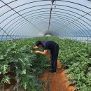 그린유통 이미지