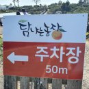 차식농장 이미지