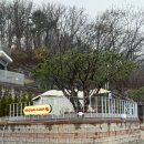 강화도 브라운캠핑장 오션뷰 / 시설좋은 곳
