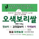 영종도 오색 햅보리쌀(추석선물로 추천) 이미지