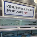 털보대게 이미지