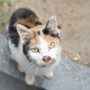 행복한상상 이미지
