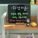 안나펫살롱 이미지