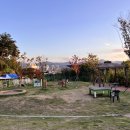 매너독반려견교육센터 이미지