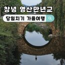 창녕 영산 만년교 | 창녕 영산만년교 은행나무 길 경남 당일치기 가을여행 실시간