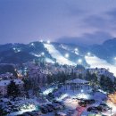 여우야늑대야 이미지