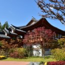 전통 우리 떡 만들기 이미지