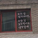요모조모 1월(2)