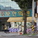 문정로-11 이미지