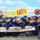 우리생선 이미지