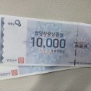 코뚜레돈우어때