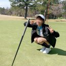 토우화 이미지