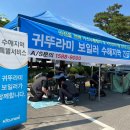 귀뚜라미 서비스 이미지