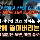 이재명이 이낙연 믿고 설치는 수박들을 1분 만에 쓸어버리는 방법, 수박좀 어떻게 해주세요 시민 부탁에 이재명의 솔로몬 해법, 윤석열 이미지