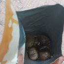 행복한식자재마트 이미지