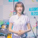 마젠타 이미지