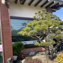 원당골추어탕 | 원당맛집 | 가을엔 추어탕 한그릇 사람바글바글 원당골추어탕