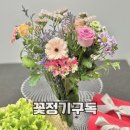 정아네 | 꽃배달 꽃 정기구독 식탁위 봄을 배달받아보자! 정아네식탁