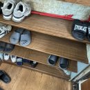 어부지리복어 이미지