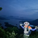 게으른 악어 이미지