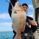 상사리(상) 이미지