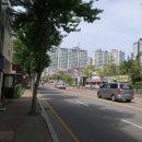 정선헤어살롱 네이버블로그