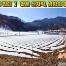 [단양토지 826㎡ // 5천만원] 얕은 산자락 남향 터, 주요 기반시설 접 + 양지바른 택지! (국유지)도로·하천 접... 이미지