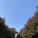#Wedding 0. 플래너 없이 결혼하기 계획 정하기!!
