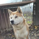 진만농장 이미지